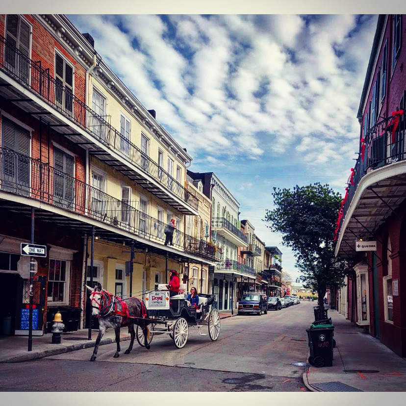 Royal Carriage Ride at New Orleans