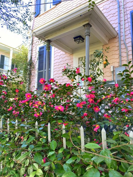 Garden District New Orleans