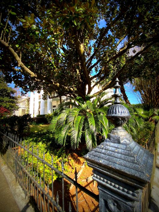 Garden District New Orleans