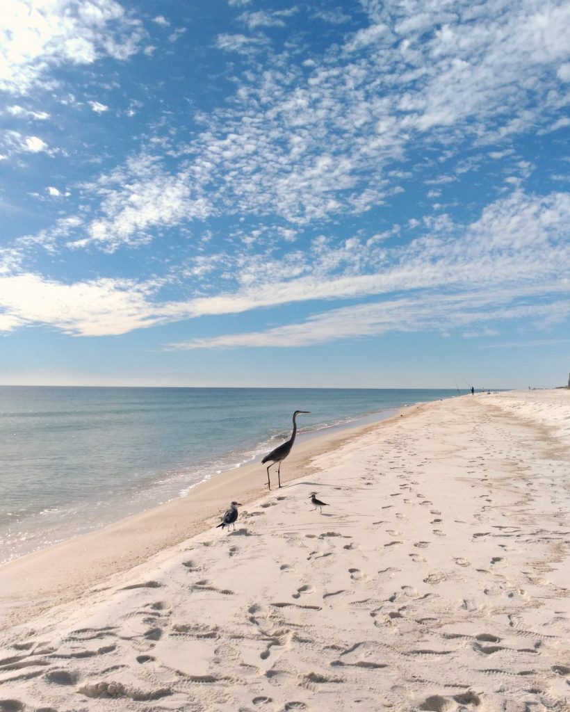 Gulf Islands National Lakeshore